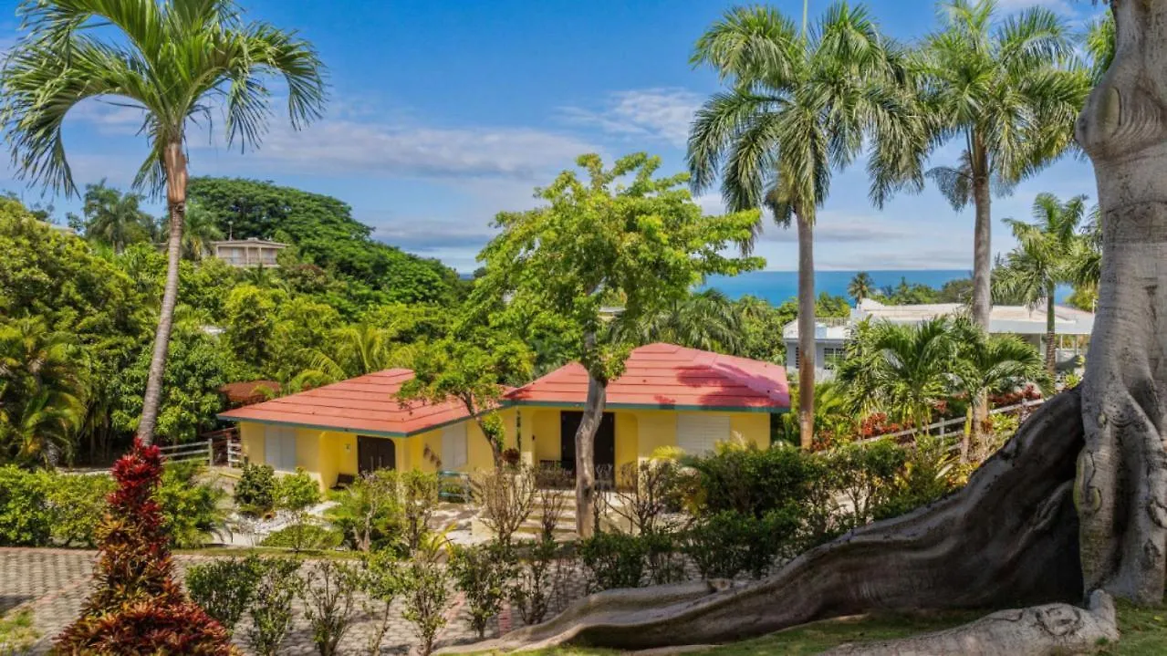 Casita 3 At Ceiba Tree Inn. Tranquility With Garden Views And Pergola With Ocean Overlook Rincon 0*,  Puerto Rico