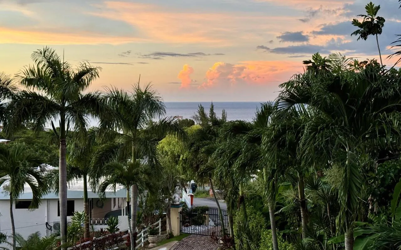 Casita 3 At Ceiba Tree Inn. Tranquility With Garden Views And Pergola With Ocean Overlook Rincon 0*,  Porto Rico